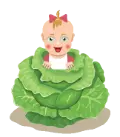 babychoulemans